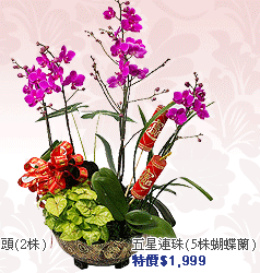 ���P�s�](5�轹����)
