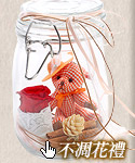 不凋花禮