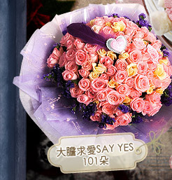 �j�x�D�RSAY YES-101���}�L
