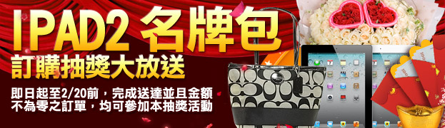 IPAD2 �W�P�] �q�ʩ���j��e