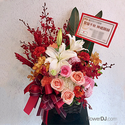 �A���������魱�L�Q��