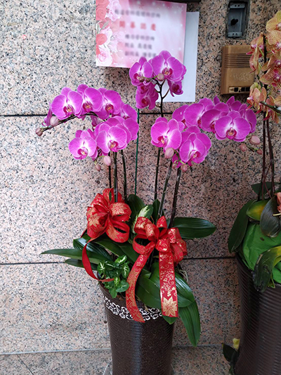 花道家卡片範例