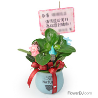 ��²�ͬ�~�¥ռ֬��p�l�o�]��֮�(�@��)