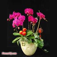 �i�x�}����j�����m��(5�轹����)