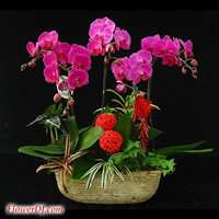 �i�x�}����j�K��H��(5�𽹽���)
