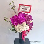 萬岱蘭盆花送台北