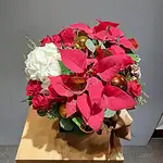 聖誕裡的遐思創意盆花