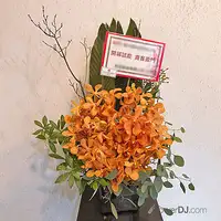 琉璨昂揚-設計盆花