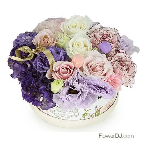母親節盆花推薦-紫色溫情-康乃馨不挑色