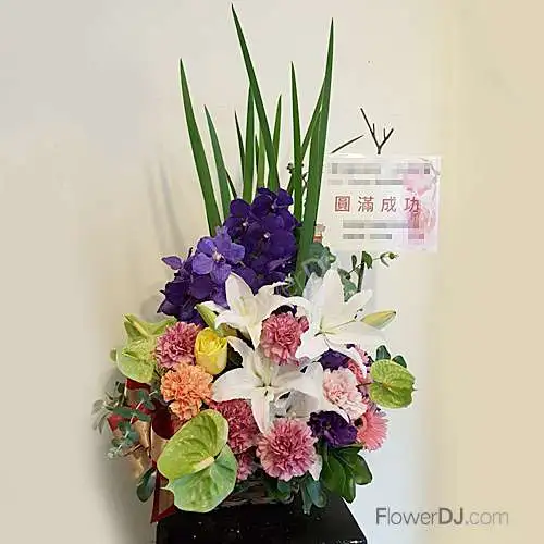 春色盎然-設計盆花送台北