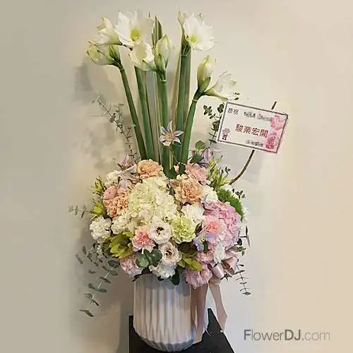 欣然慶喜-設計盆花送台北