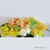 金色年代-橫式盆花送台北