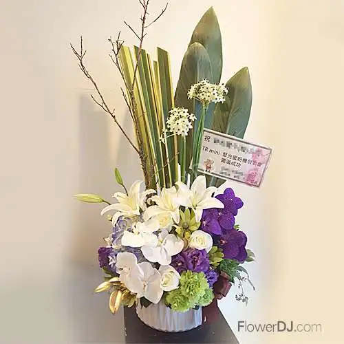 美好時光-盆花送台北