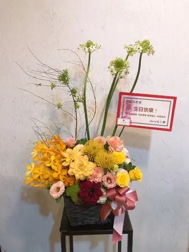 春日旭陽-盆花送台北