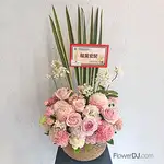 花開富貴-送台北盆花