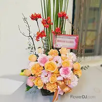 花開富貴-送台北盆花