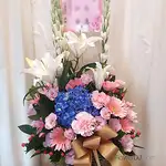 向陽之愛-盆花送台北