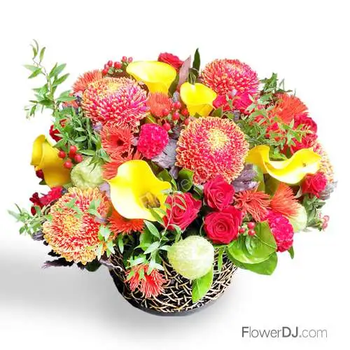 盆花專送-花團錦簇