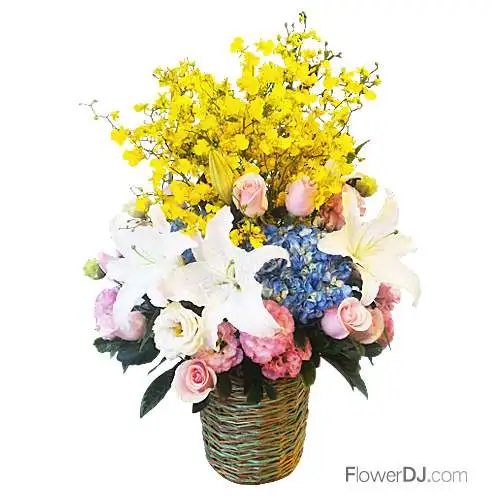 春日-桌上型盆花