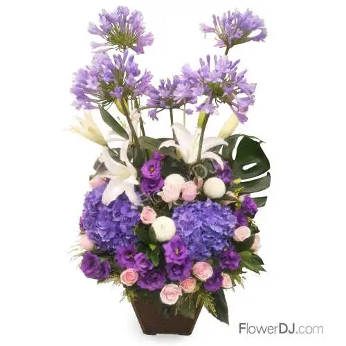 紫高氣昂-精緻盆花