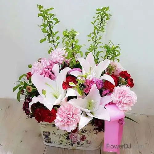 康乃馨盆花-盎然-母親節 禮物