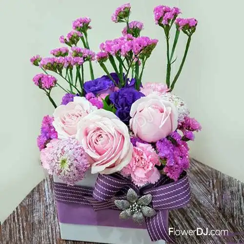 紫光雰韾-康乃馨盆花-母親節 禮物