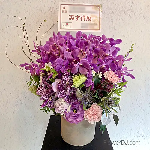 紫色聖耀攔盆栽送台北