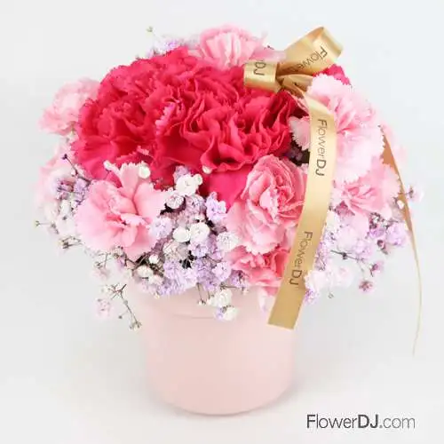 滿室馨香-小型康乃馨盆花-2021母親節