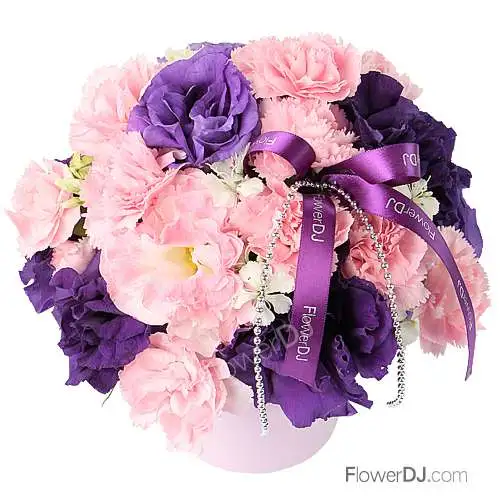 粉紫燦然-小型康乃馨盆花送台北-限時特價