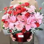 康乃馨 母親節盆花 送台北