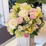 純翠玫瑰設計盆花 送台中