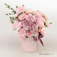 燦爛的母親節-康乃馨盆花
