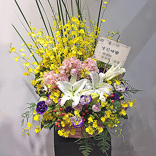 盆花送台北