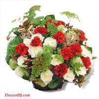�꺡�p�N�i�f�d�D�ɬ֪�