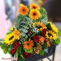 �V���˪L_��o�֪�