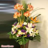 �A�����_��o�֪�