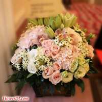 ������_��o�֪�