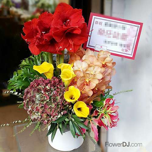 盆花送台北-開幕,慶祝,展覽
