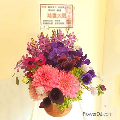 盆花送台北-繽色紛呈