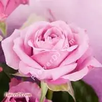 花店 傳情11朵玫瑰花束