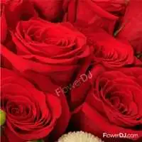 親親我的愛-進口紅玫瑰20朵