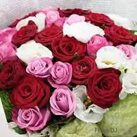 花現愛-22朵混色玫瑰花束