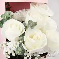 進口玫瑰圓花盒-白色玫瑰-送台北