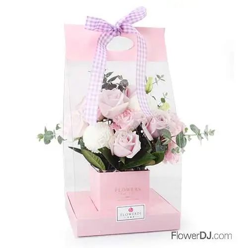 玫瑰盆花-手提禮盒送台北