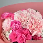 小型康乃馨花束送媽媽花