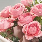 庭園玫瑰花束九朵送台北