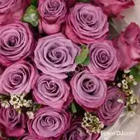 紫華盛宴_18朵進口紫玫瑰花束