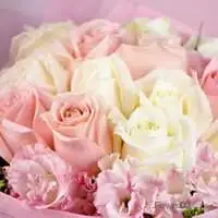 粉彩旖旎-16朵混色玫瑰花束-專人送