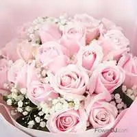 情人節送花-花店送花20朵玫瑰花束