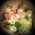 香檳玫瑰-超大型花束送台北-加贈閃耀燈串